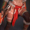 Nidalee – Personnage Jeux video.
