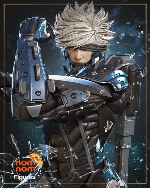 Raiden – Personnage Jeux.