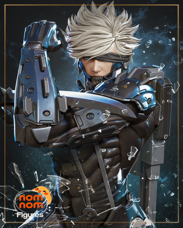 Raiden – Personnage Jeux.