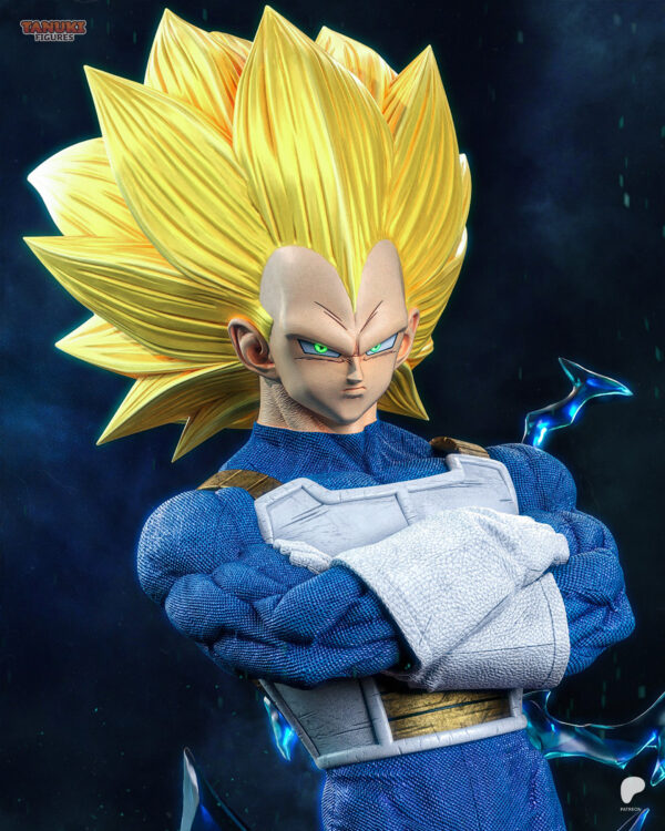 Vegeta – Personnage Anime.