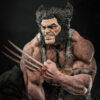 Wolverine – Personnage Comics.